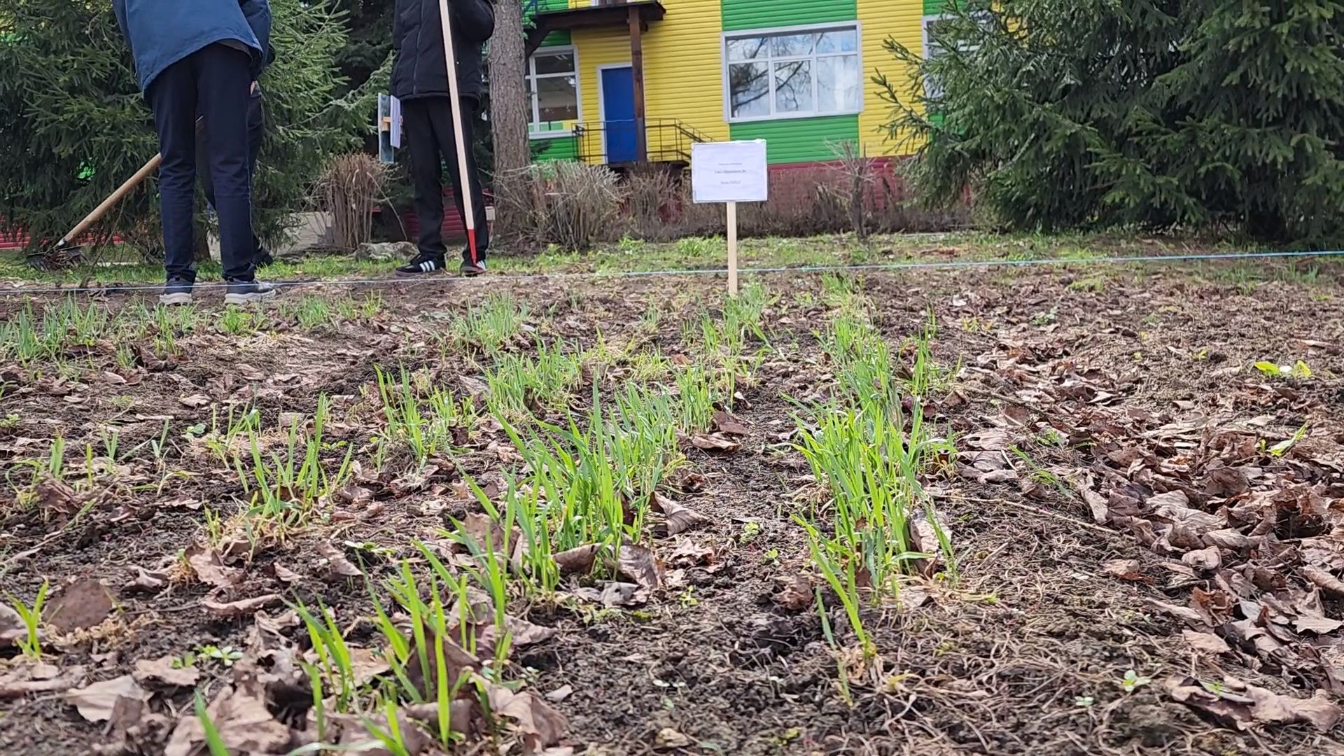 образование подмосковья, агроклассы подмосковья, ступино,