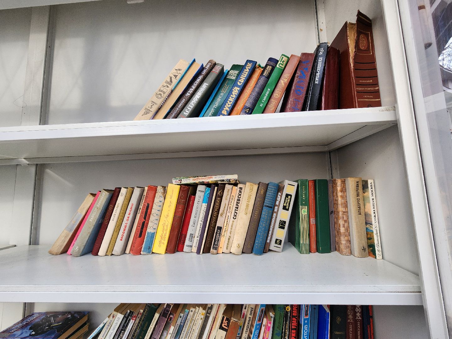 воскресенск, парк кривякино, буккроссинг, книги,