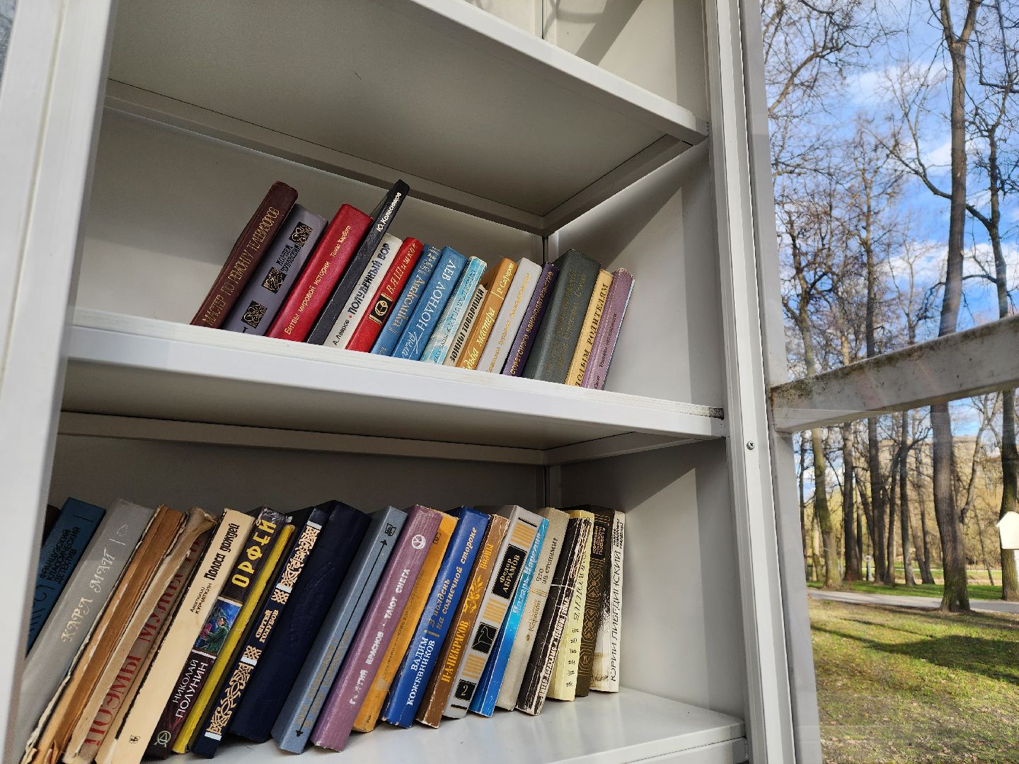 воскресенск, парк кривякино, буккроссинг, книги,