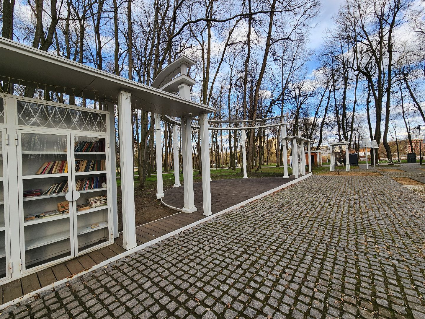 воскресенск, парк кривякино, буккроссинг, книги,