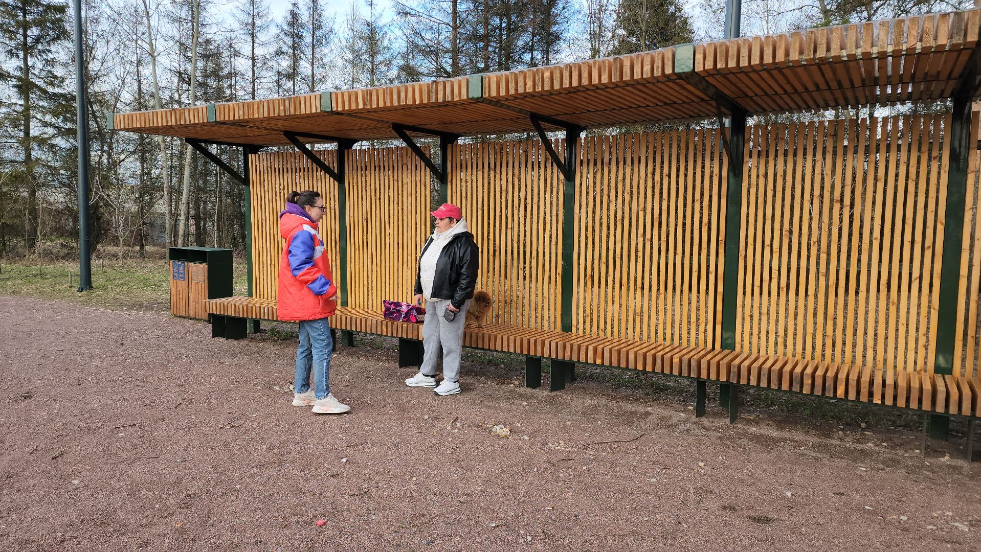 собаки, Чистота, лобня,