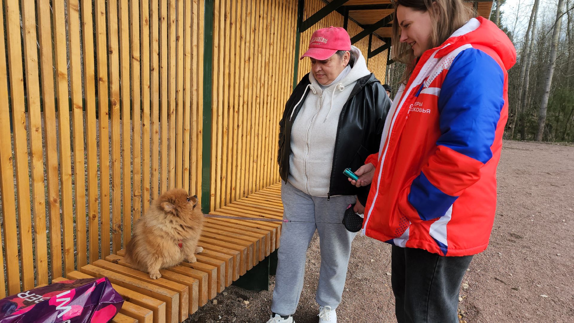 собаки, Чистота, лобня,