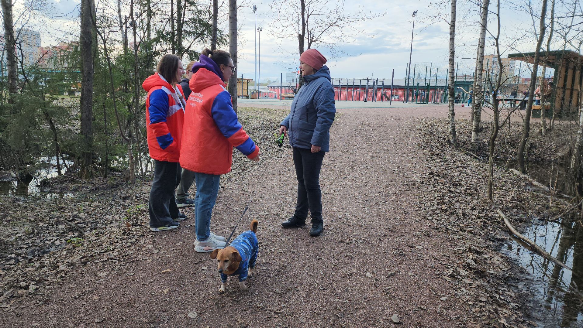 собаки, Чистота, лобня,