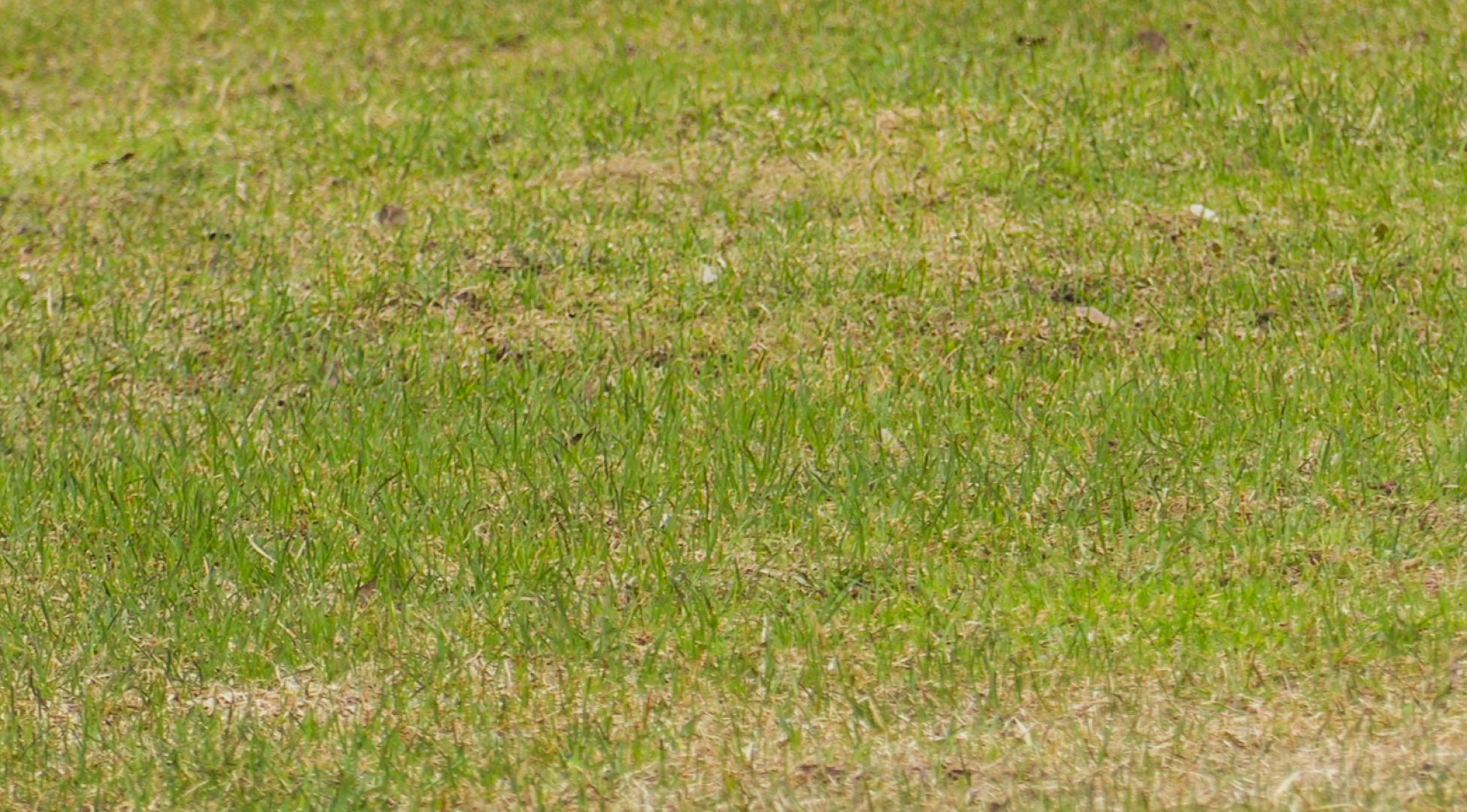 Клин, общество, спорт, строительство,