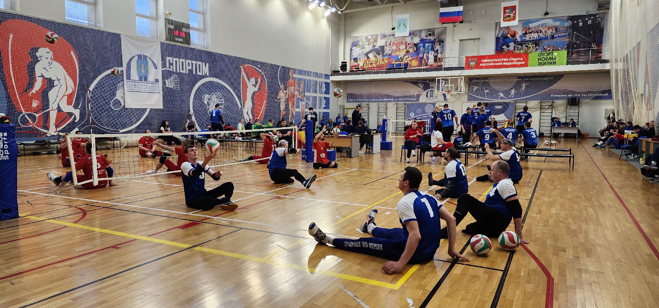 раменское, спорт, кубок России по волейболу сидя в спорткомплексе Борисоглебский,