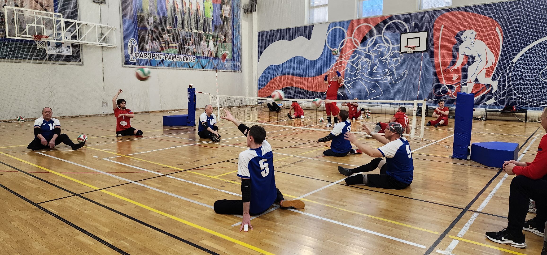 раменское, спорт, кубок России по волейболу сидя в спорткомплексе Борисоглебский,