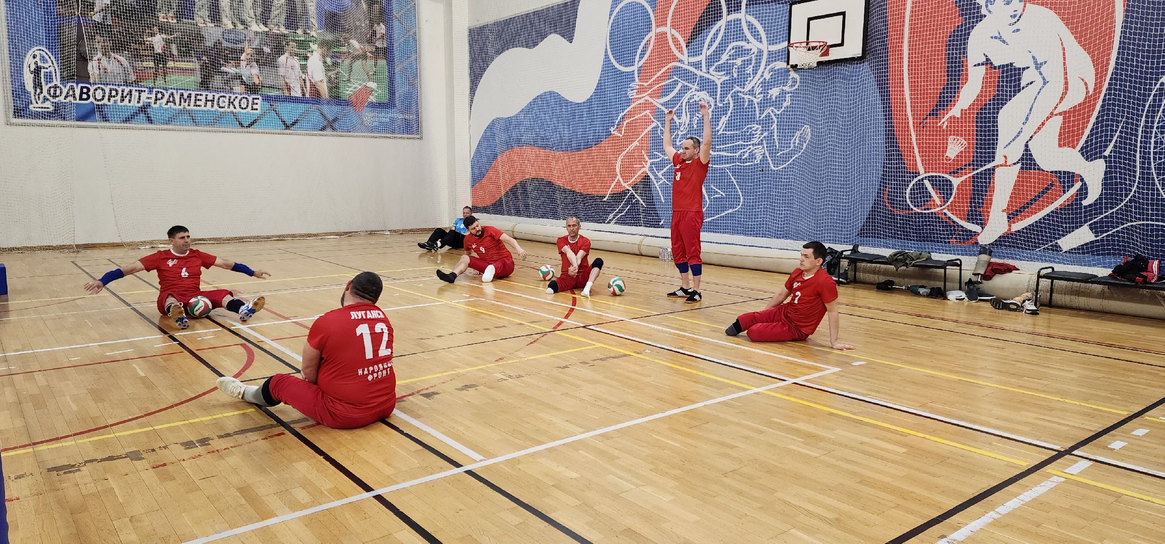 раменское, спорт, кубок России по волейболу сидя в спорткомплексе Борисоглебский,