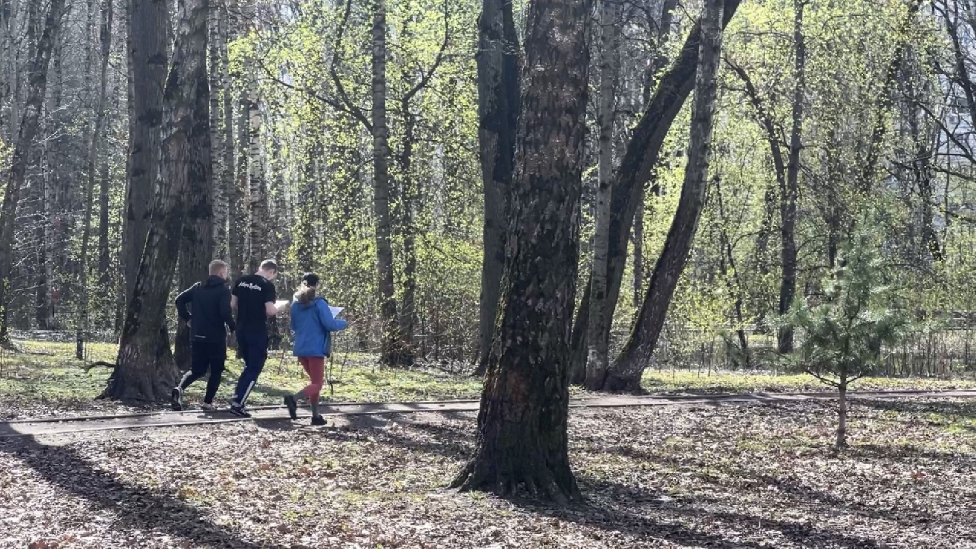 химки, спартакиада, спорт, спортивное ориентирование,