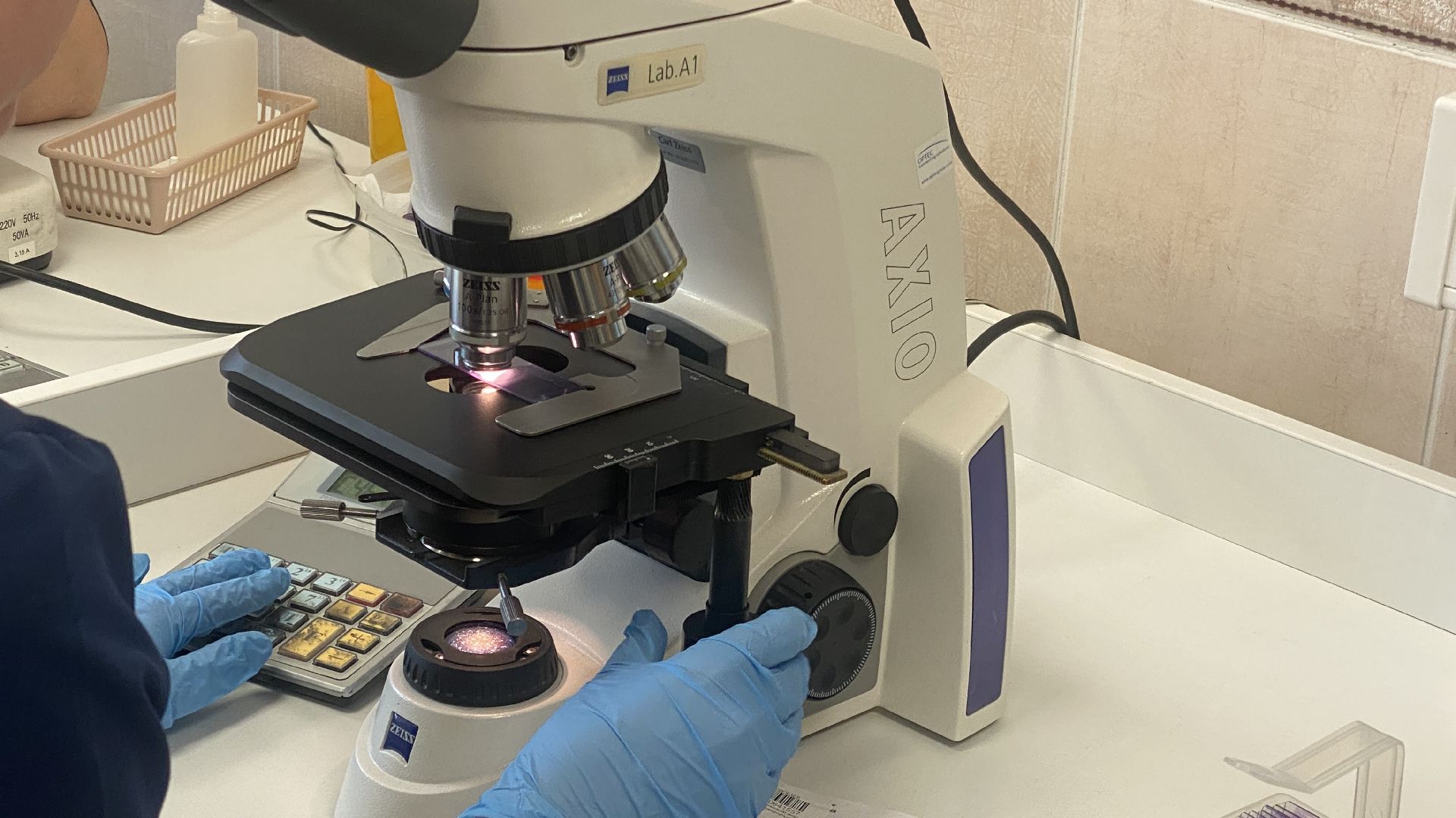 лаборатория, перинатальный центр, лабораторные исследования, анализы, медицина подмосковья,