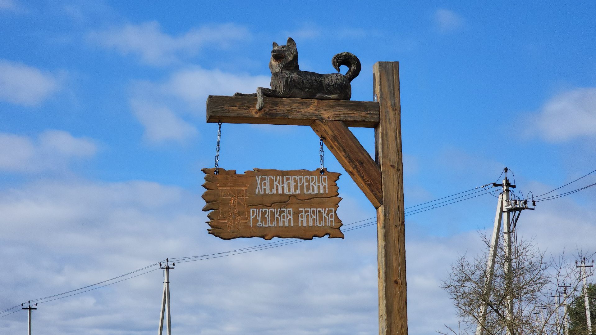 рузская аляска, пони, лошади, руза, рузский городской округ, московская область, подмосковье,