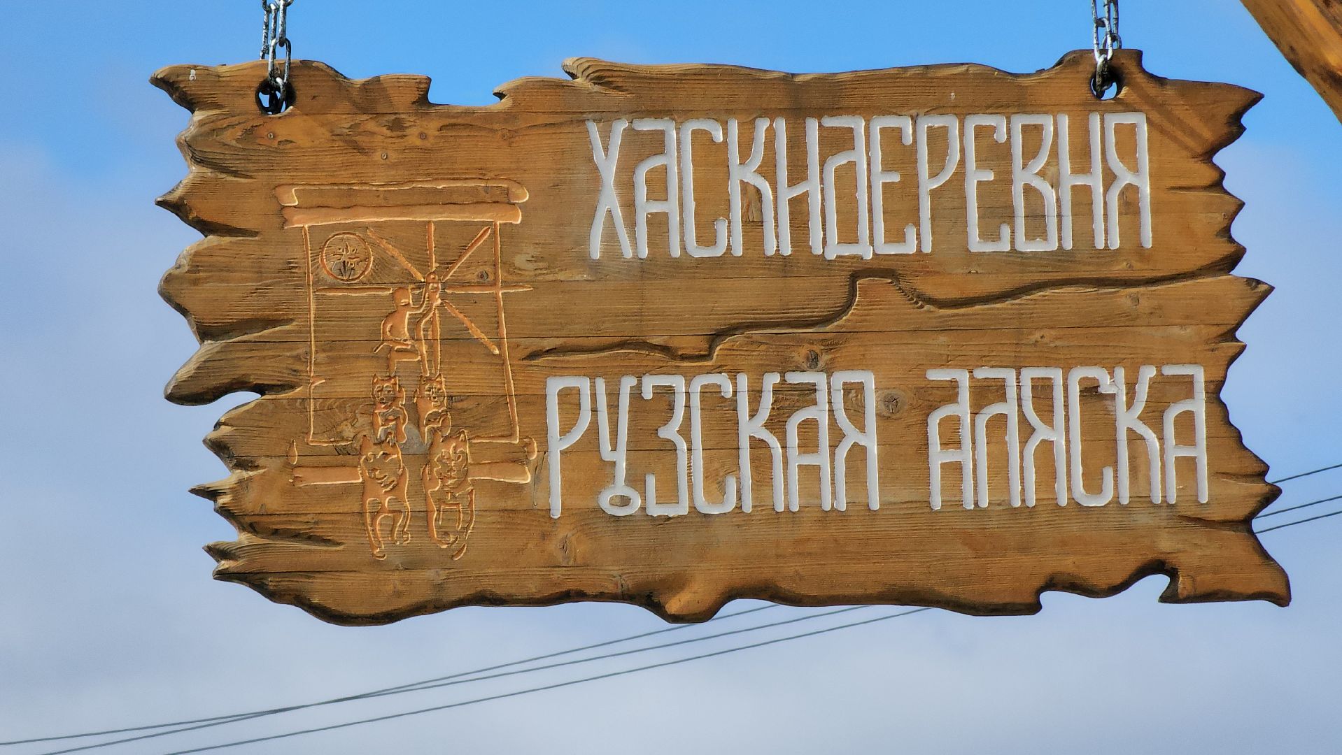 рузская аляска, пони, лошади, руза, рузский городской округ, московская область, подмосковье,