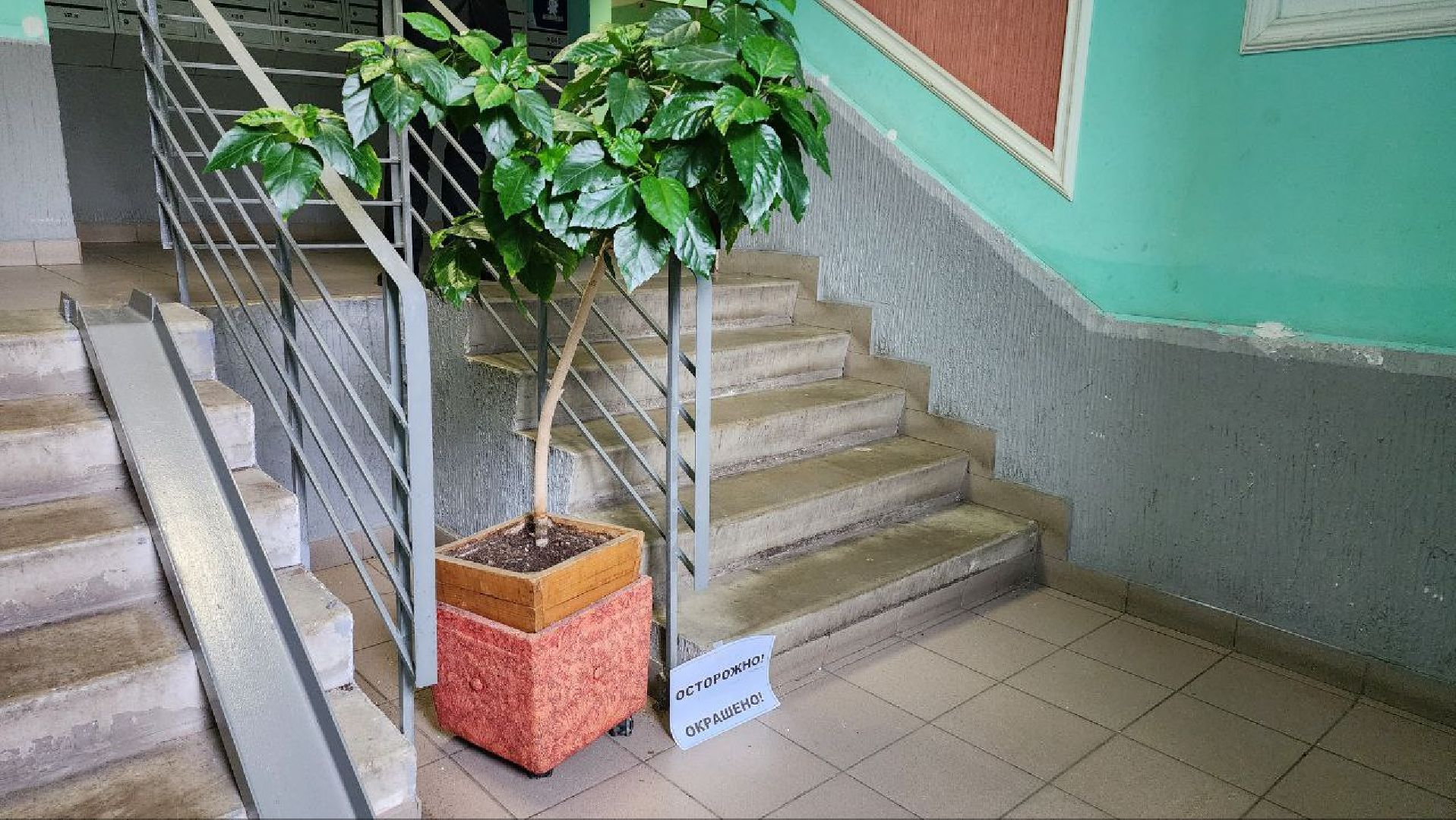 люберцы, ремонт подъездов, управляющая компания, месячник благоустройства,