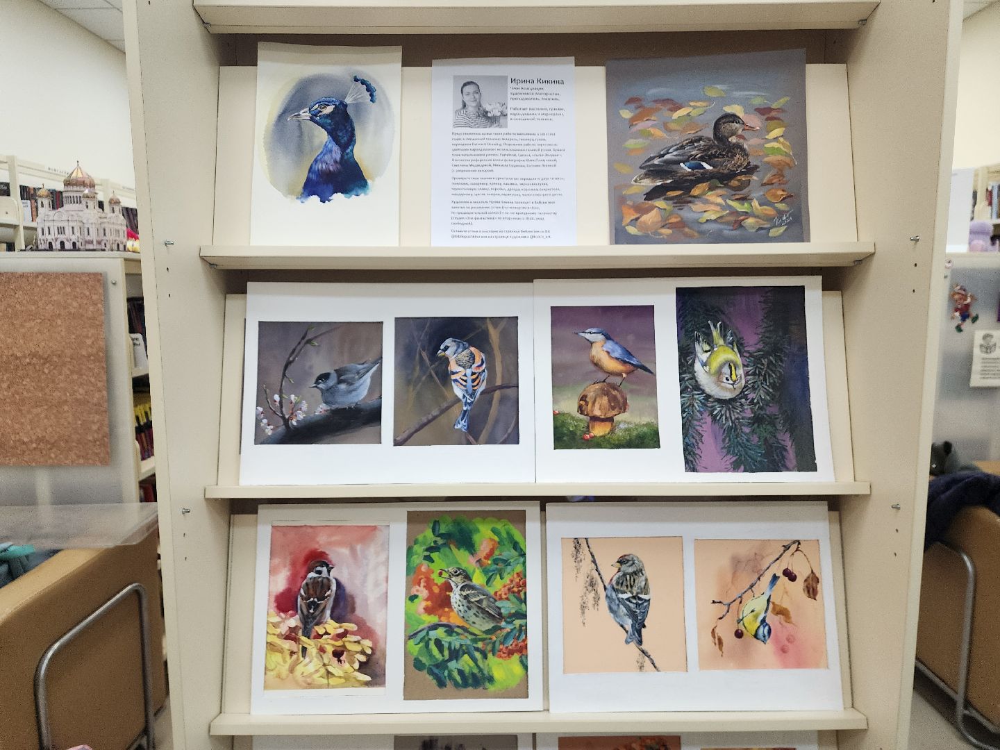 пушкино, экспозиция, экспонаты, мастер-класс, птицы, птицы подмосковья,