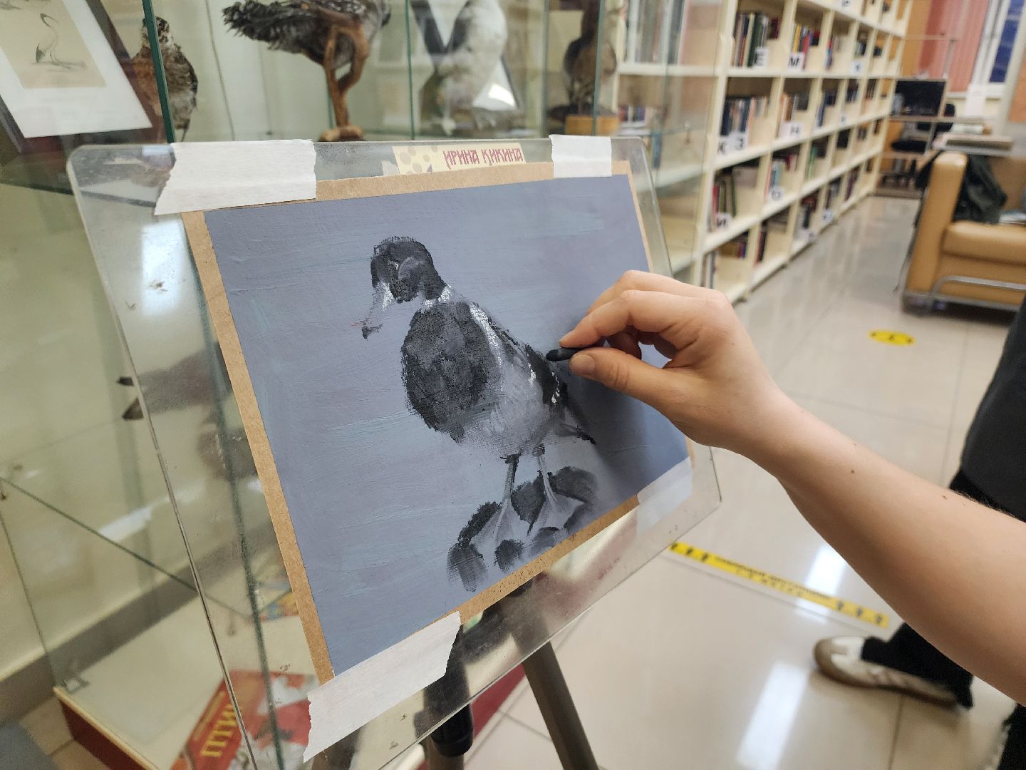 пушкино, экспозиция, экспонаты, мастер-класс, птицы, птицы подмосковья,