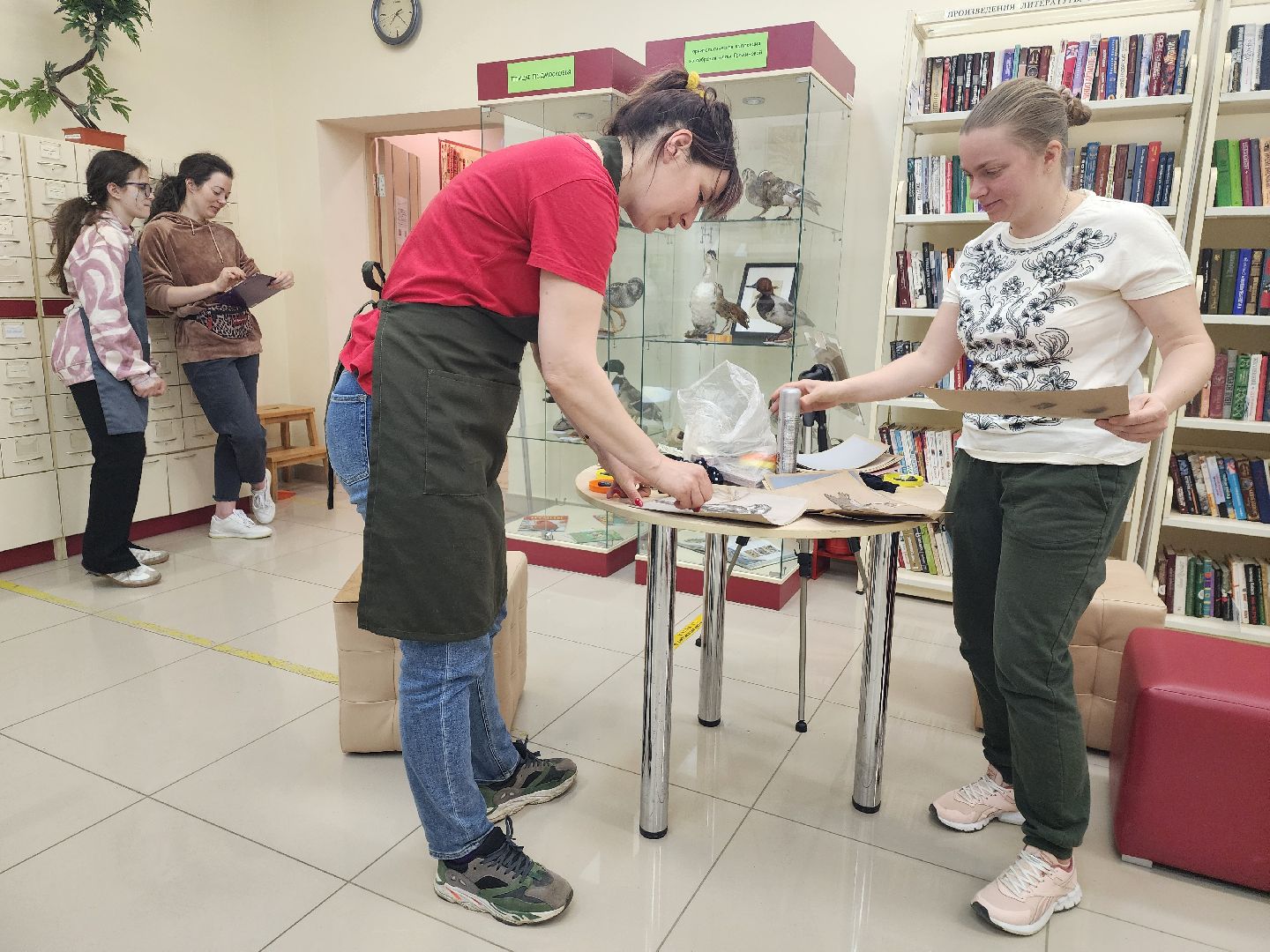 пушкино, экспозиция, экспонаты, мастер-класс, птицы, птицы подмосковья,