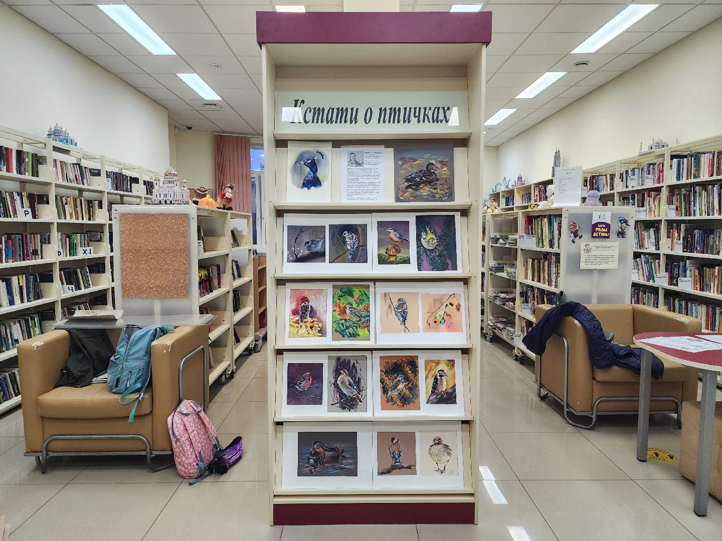 пушкино, экспозиция, экспонаты, мастер-класс, птицы, птицы подмосковья,