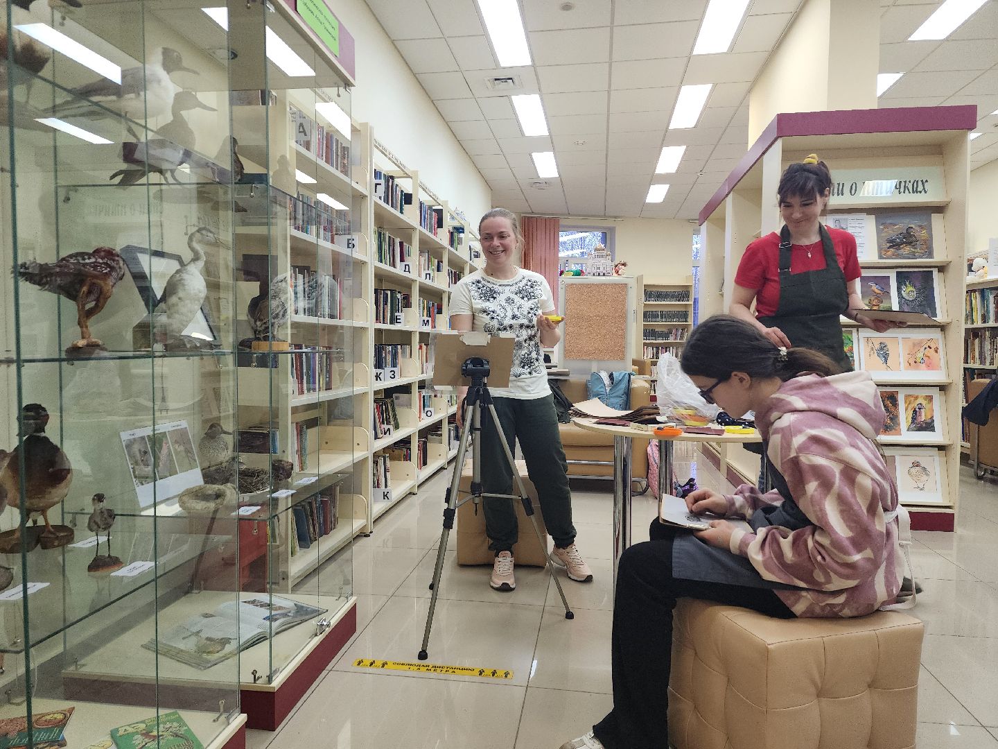 пушкино, экспозиция, экспонаты, мастер-класс, птицы, птицы подмосковья,