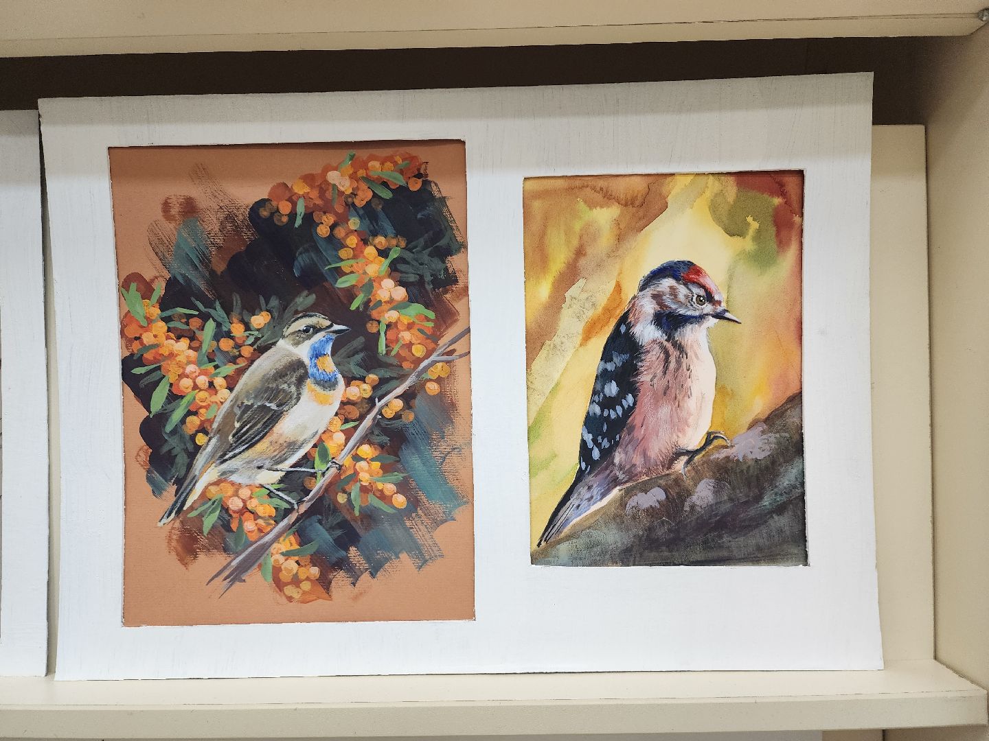 пушкино, экспозиция, экспонаты, мастер-класс, птицы, птицы подмосковья,