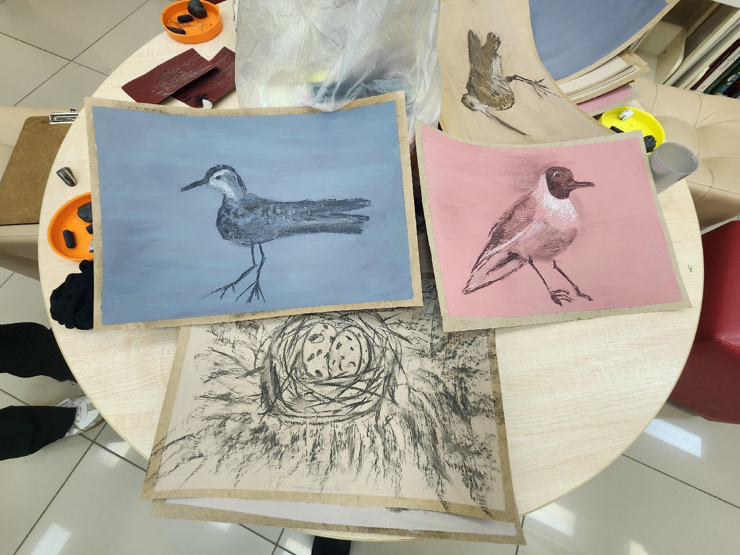 пушкино, экспозиция, экспонаты, мастер-класс, птицы, птицы подмосковья,