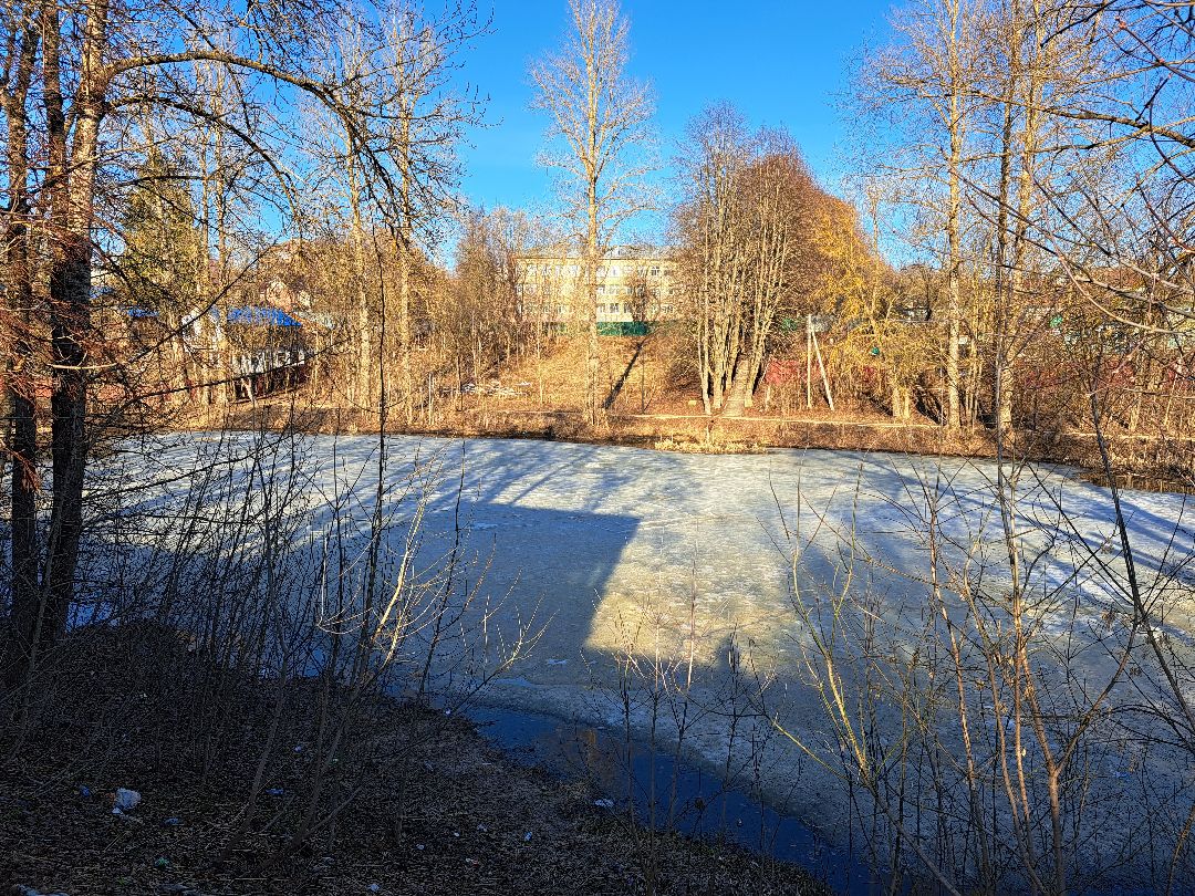 Круги на льду, Снежная крепость, Руза