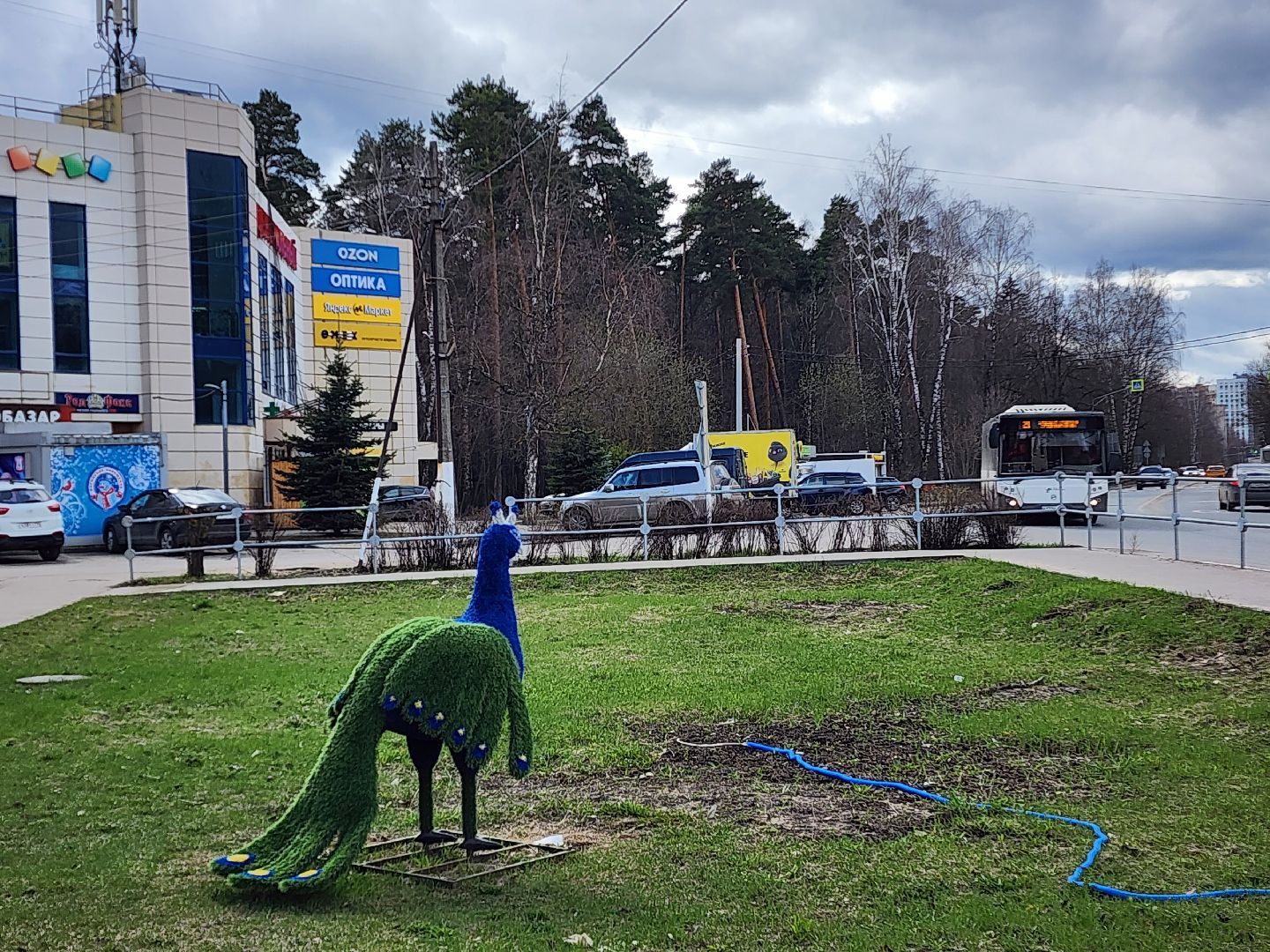 красноармейск, г.о. пушкинский, общественные пространства, цветники,