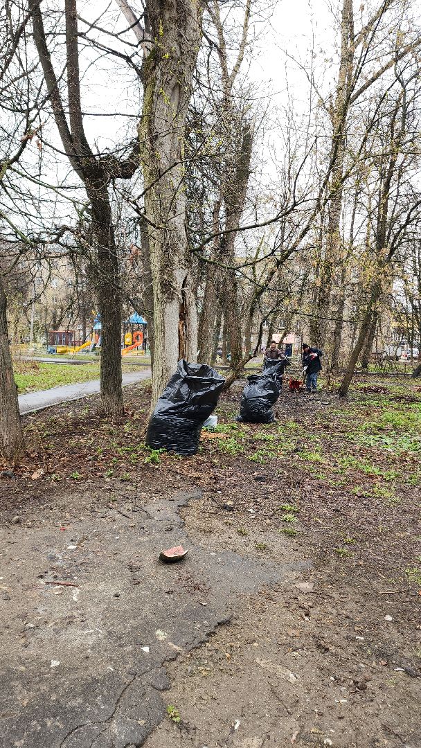 электросталь, мой город, уборка, уборка города, уборка дворов после зимы, уборка общественных территорий, жкх, жкх подмосковья,