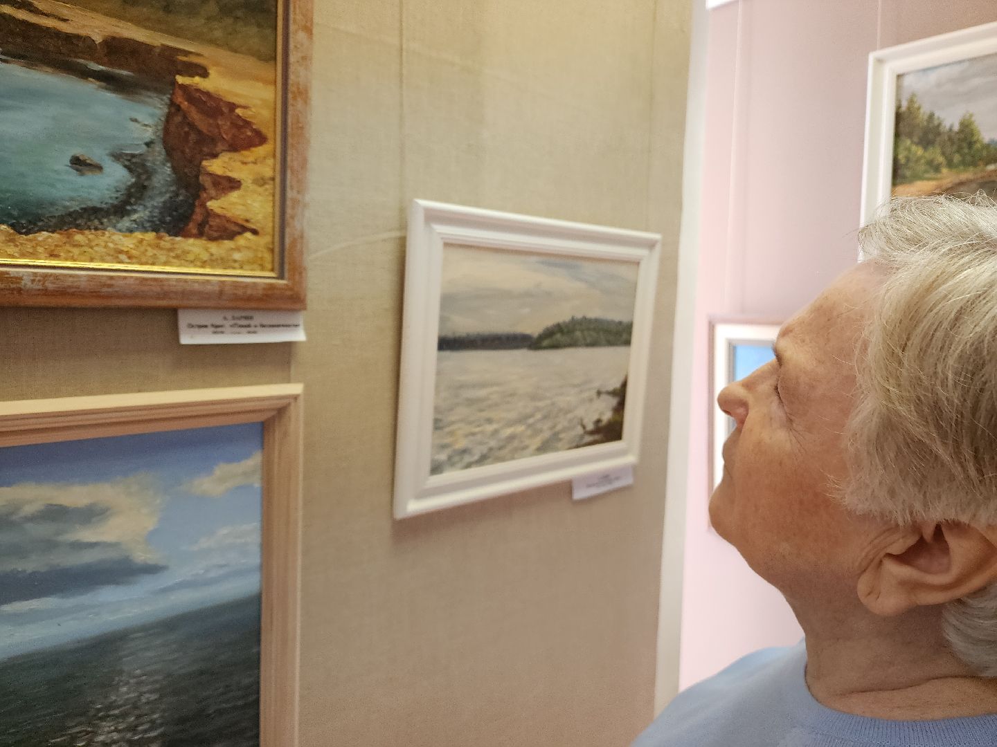 красноармейск, г.о. пушкинский, выставка, пейзаж,