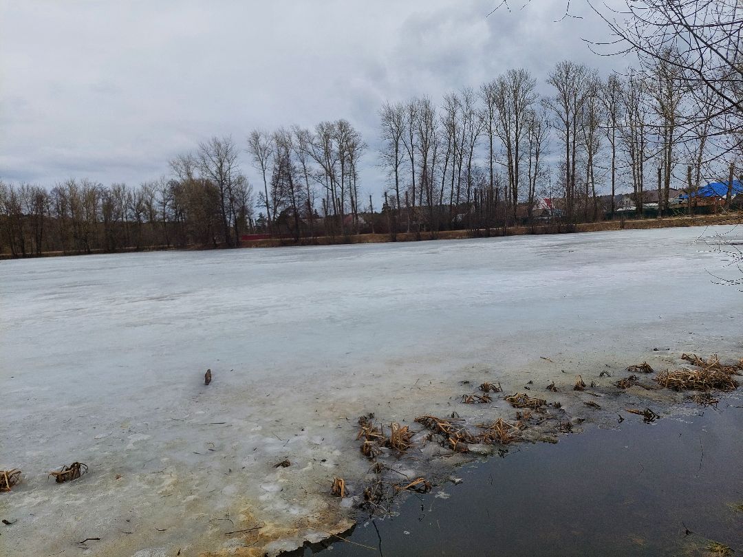 благоустройство, пруд, очистка водоёмов, 100 прудов и озёр