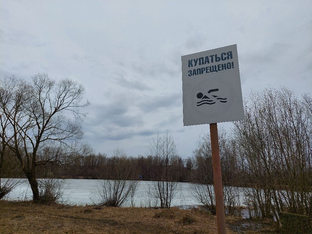 благоустройство, пруд, очистка водоёмов, 100 прудов и озёр