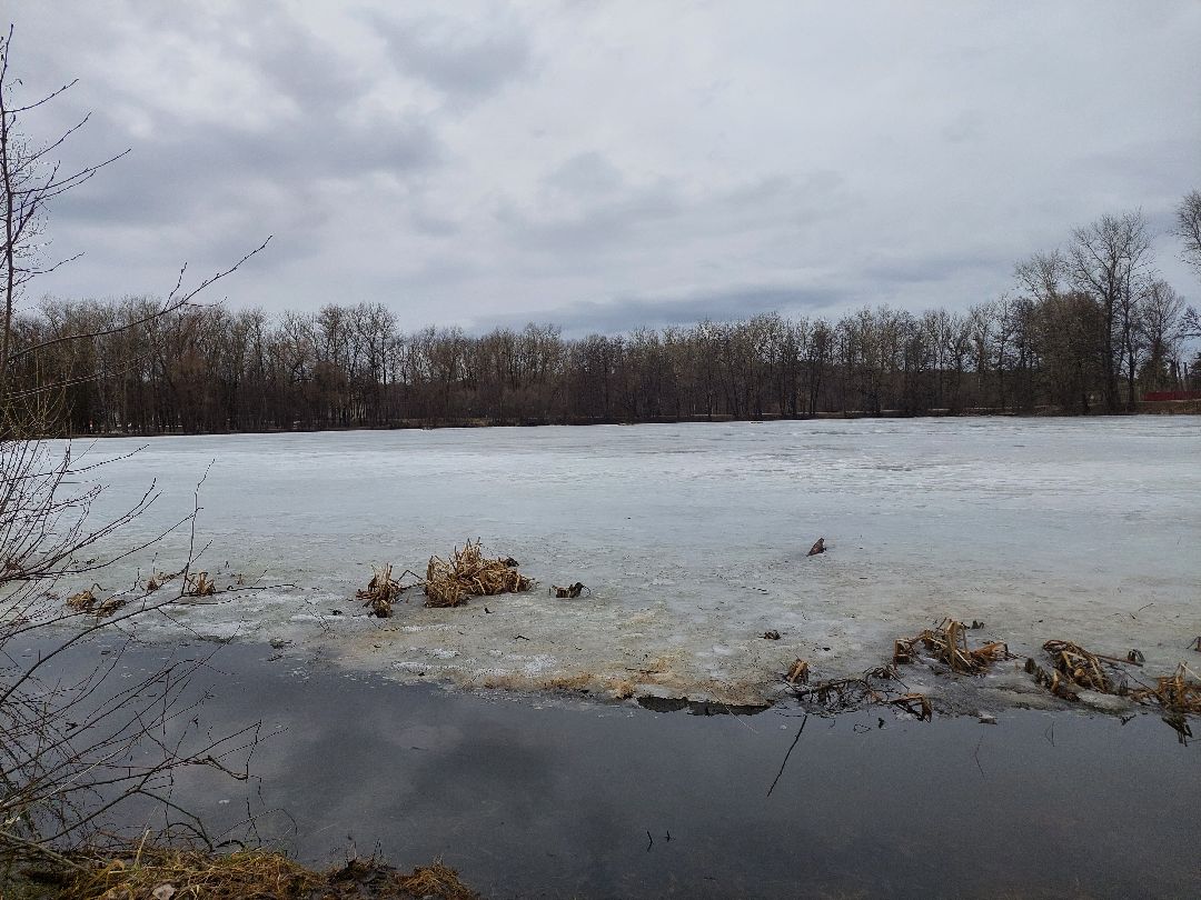 благоустройство, пруд, очистка водоёмов, 100 прудов и озёр