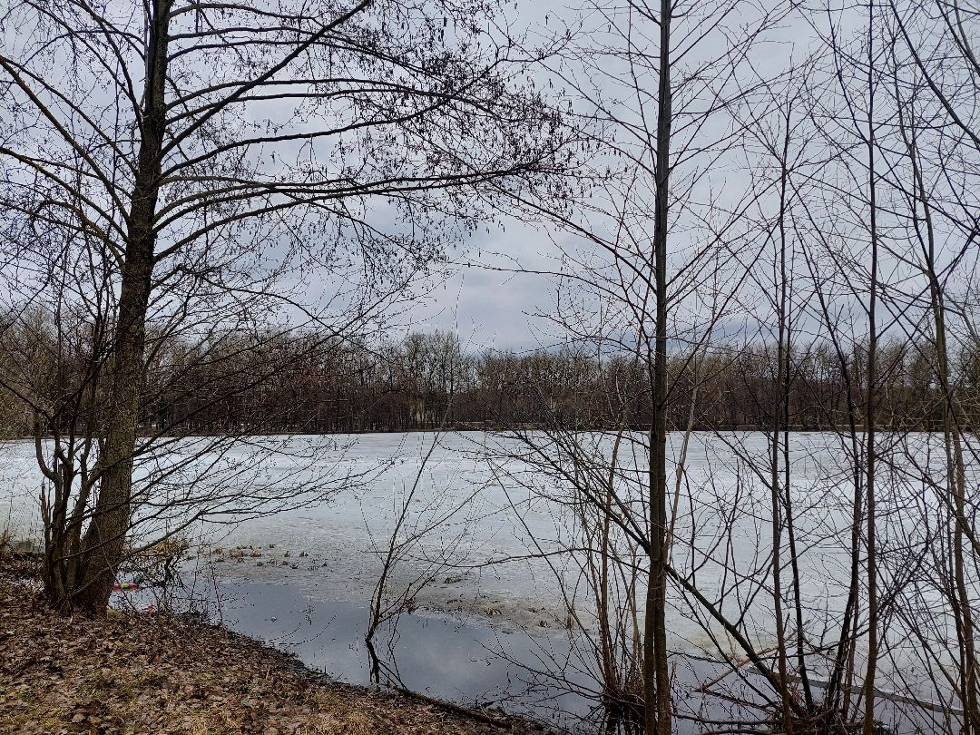 благоустройство, пруд, очистка водоёмов, 100 прудов и озёр