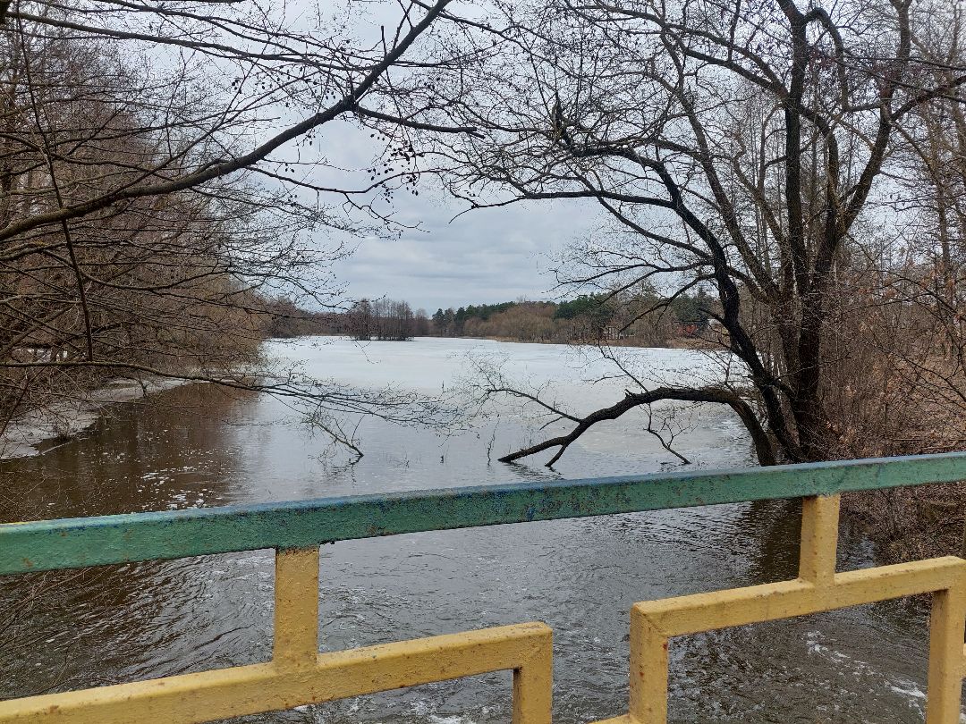 благоустройство, пруд, очистка водоёмов, 100 прудов и озёр