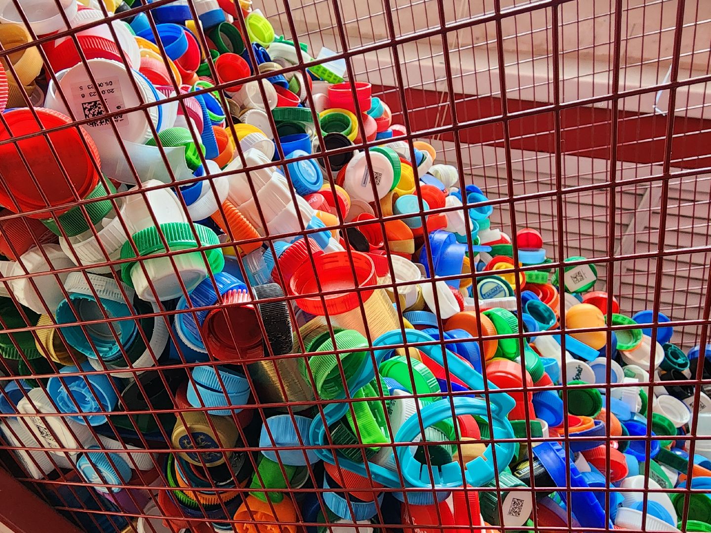 волонтеры, сбор крышечек, переработка, Ногинск, Богородский городской округ,