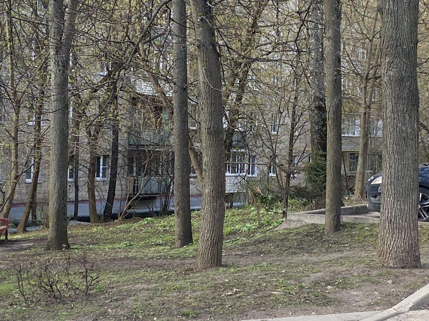 Весеннее преображение, Власиха благоустройство, Микрорайон Школьный Власиха, Цветной бульвар Власиха, МБУ ЖКХ и благоустройство,