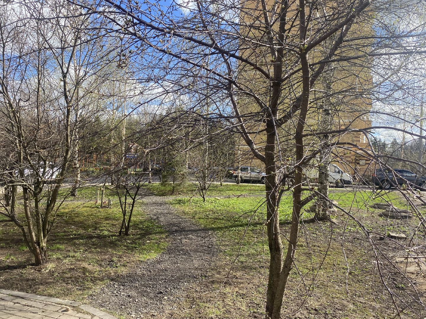 Весеннее преображение, Власиха благоустройство, Микрорайон Школьный Власиха, Цветной бульвар Власиха, МБУ ЖКХ и благоустройство,