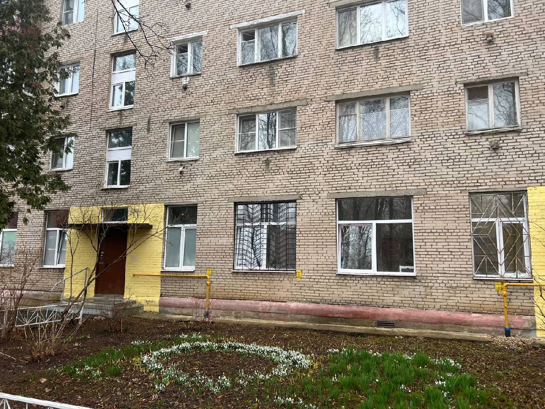 первоцветы, жители, субботник