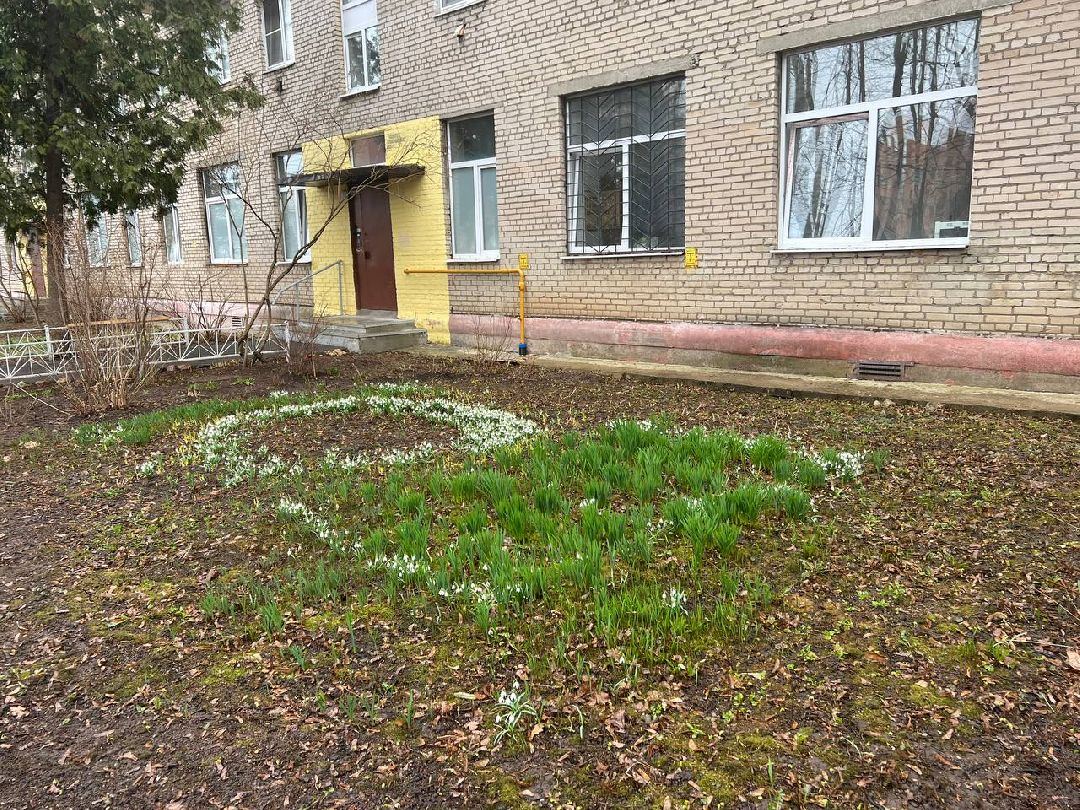 первоцветы, жители, субботник