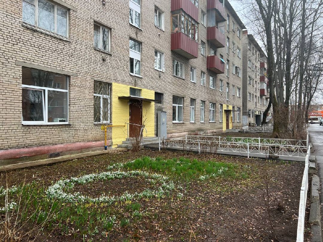 первоцветы, жители, субботник