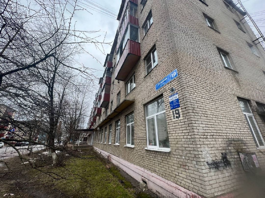 первоцветы, жители, субботник