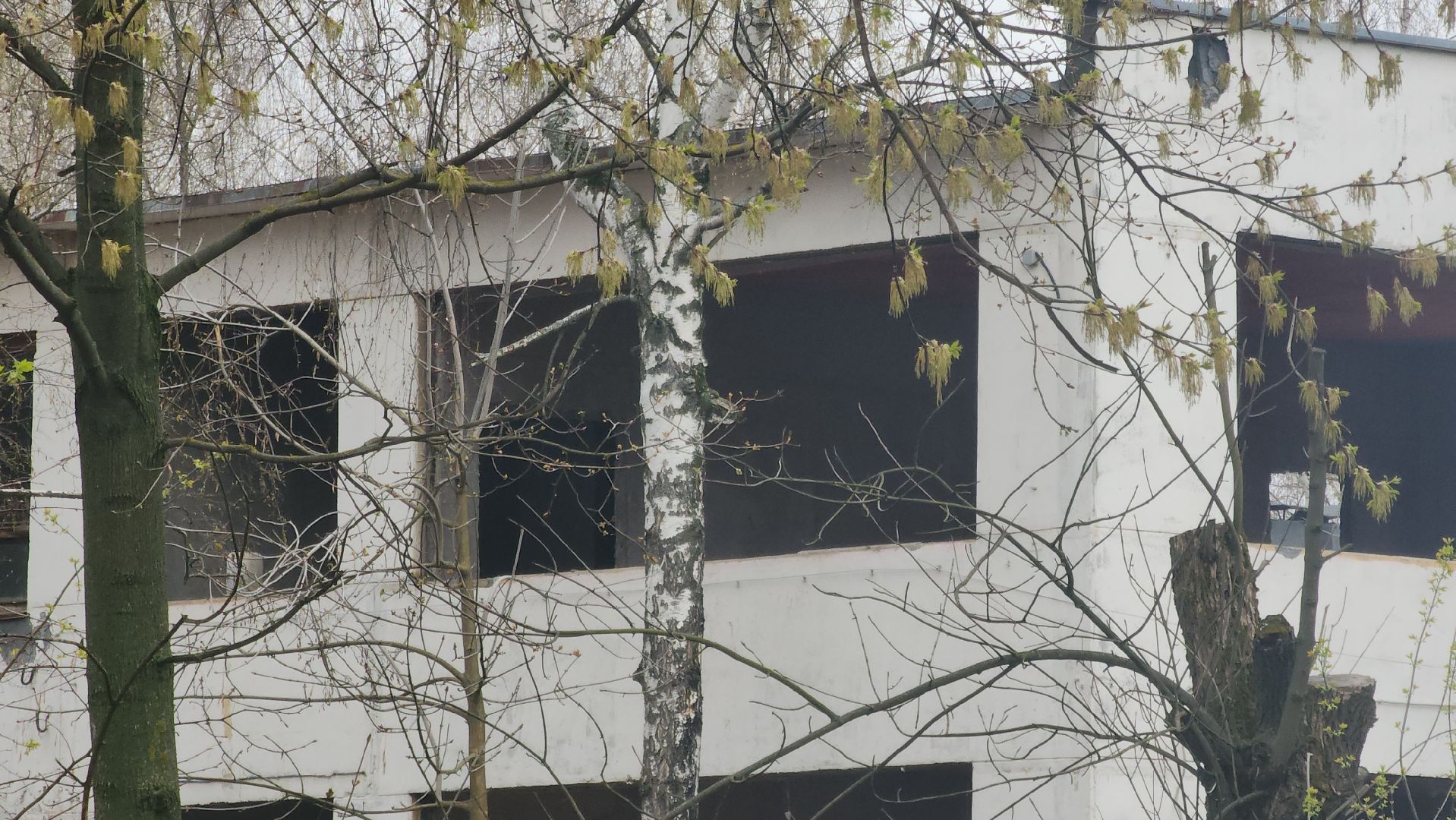 Павловский Посад, Городской округ Павловский Посад, Строительство, Образование, Дети, Незабудка,