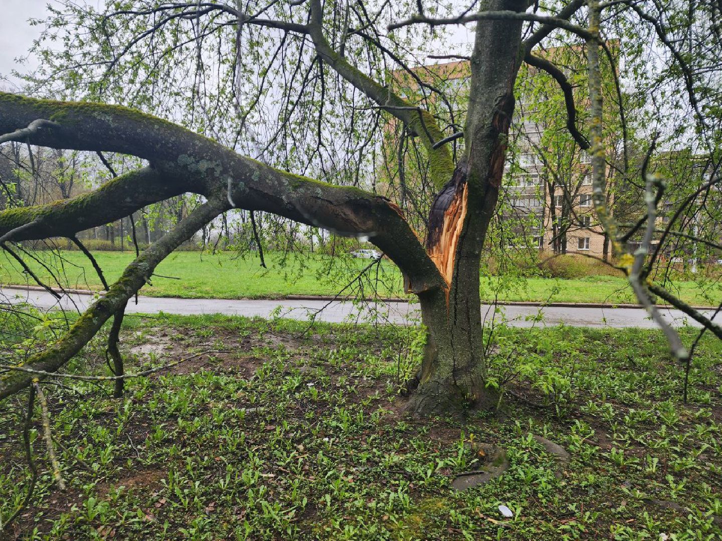 пущино, серпухов, благоустройство, Алексей Воробьев