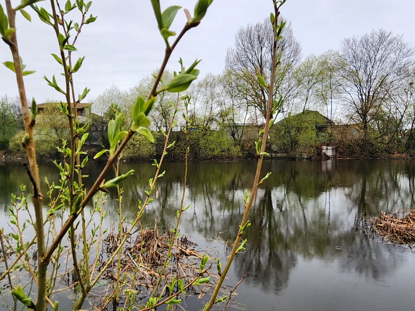 воскресенск, благоустройство, жители, пруд,
