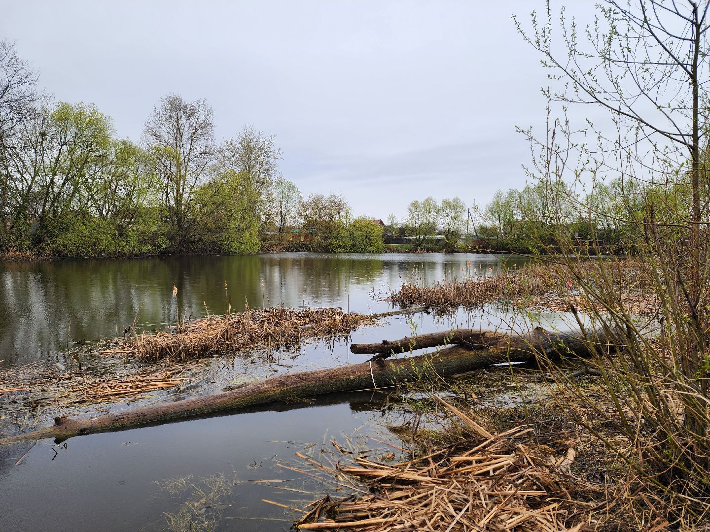воскресенск, благоустройство, жители, пруд,