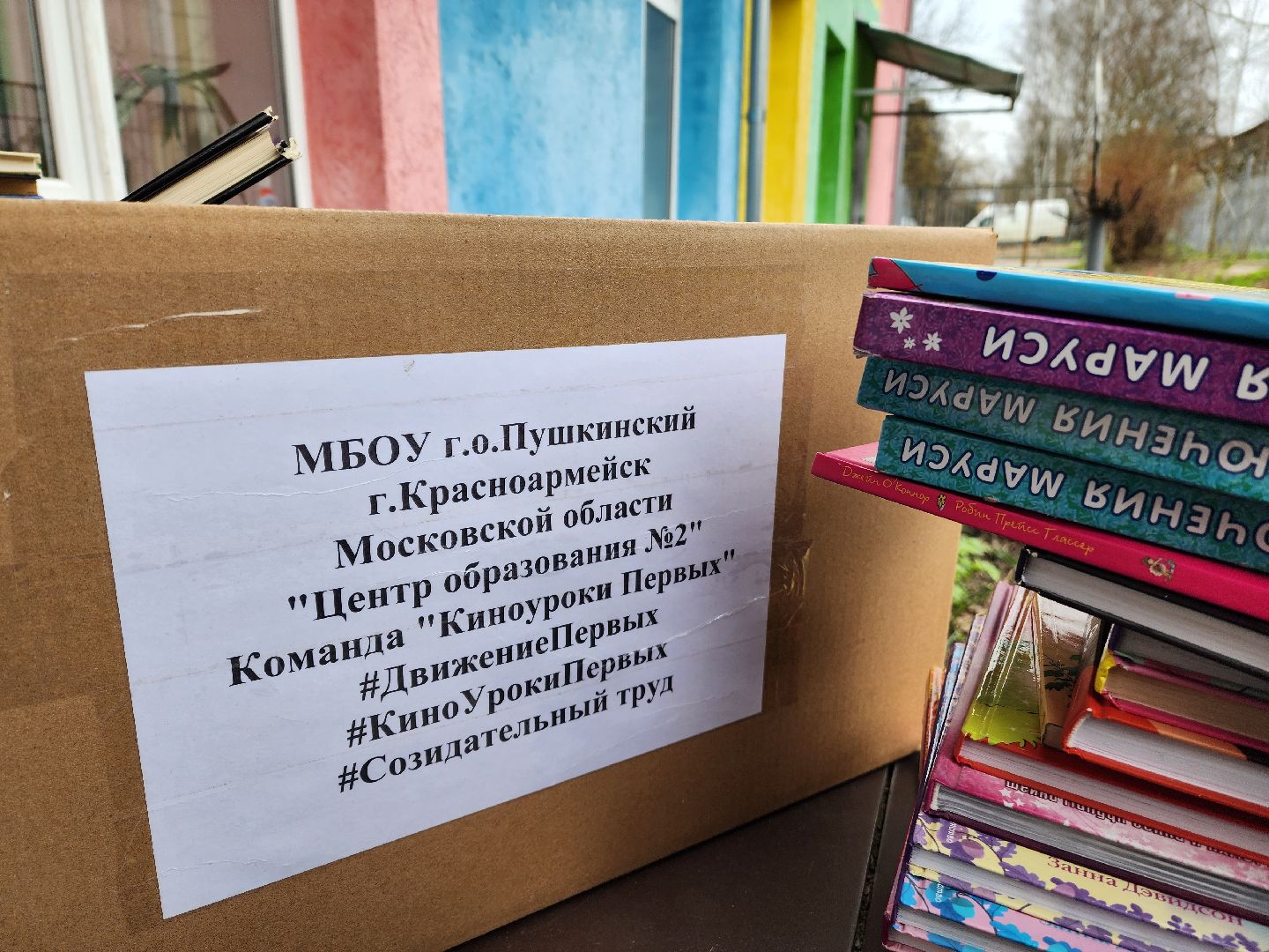 красноармейск, г.о. пушкинский, волонтерское движение, книги детям донбасса,
