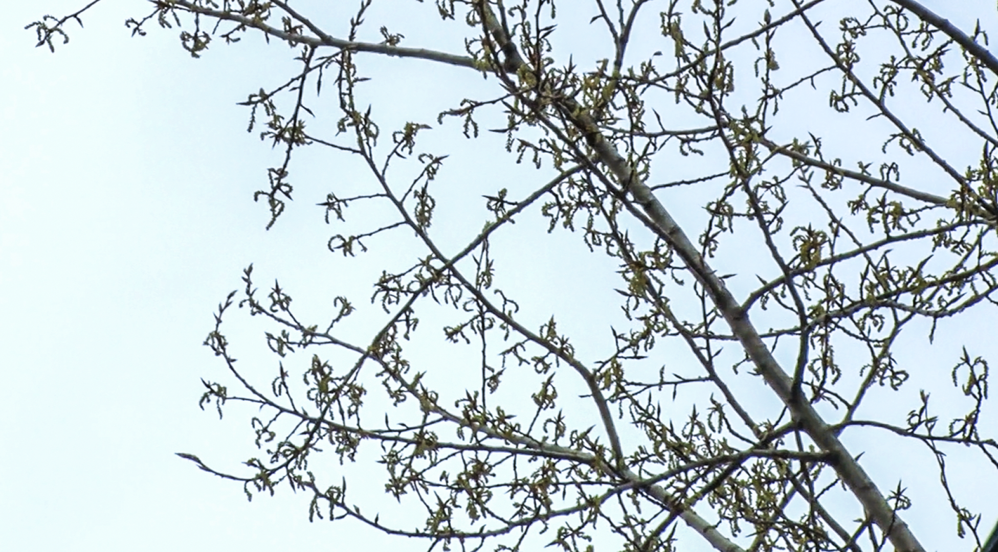 Клин, общество, ЖКХ, благоустройство,