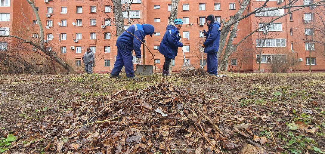 ЖКХ, уборка мусора, перемены, Домодедово