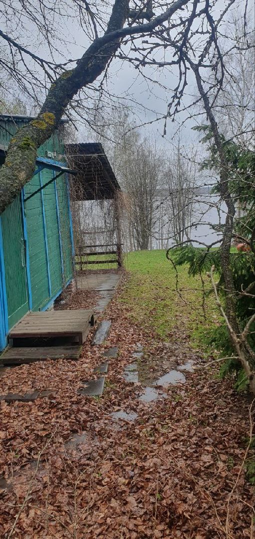 береговая линия, Болтино, Благоустройство,