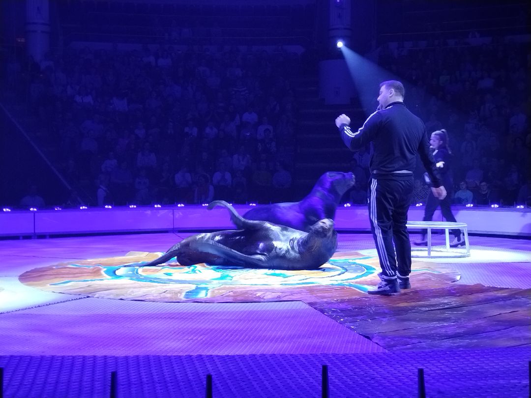 Юрий Никулин, Московский цирк, Мытищи