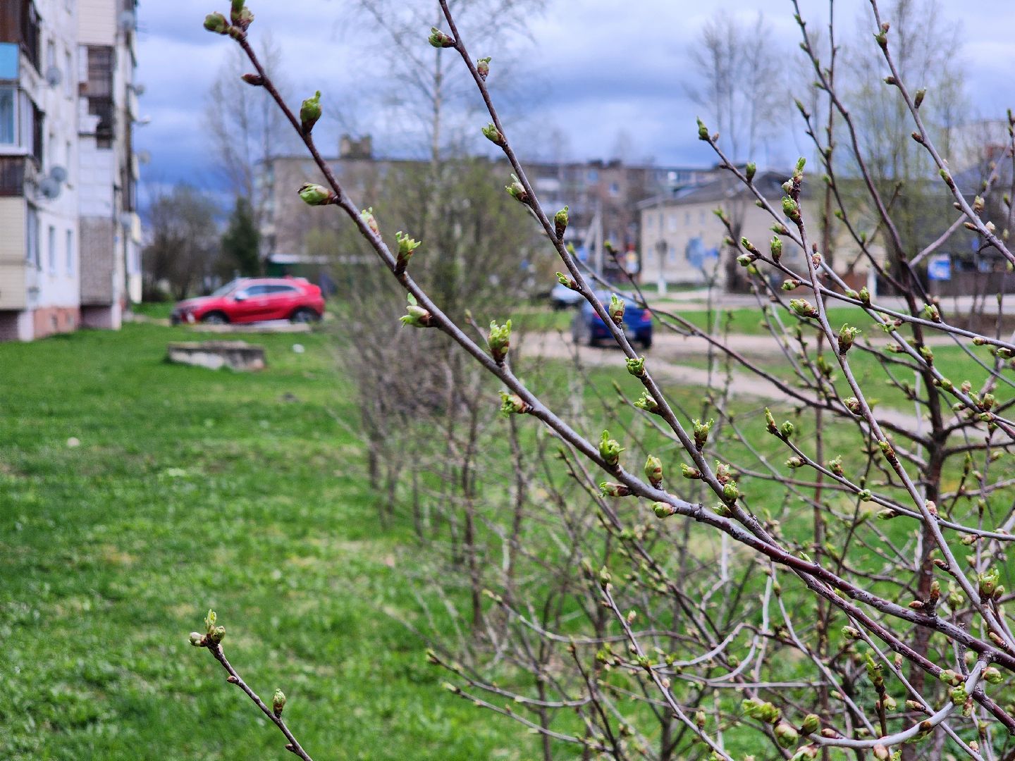 голосование, голосование 2024, голосование за благоустройство, тучково, сквер, руза, рузский городской округ,