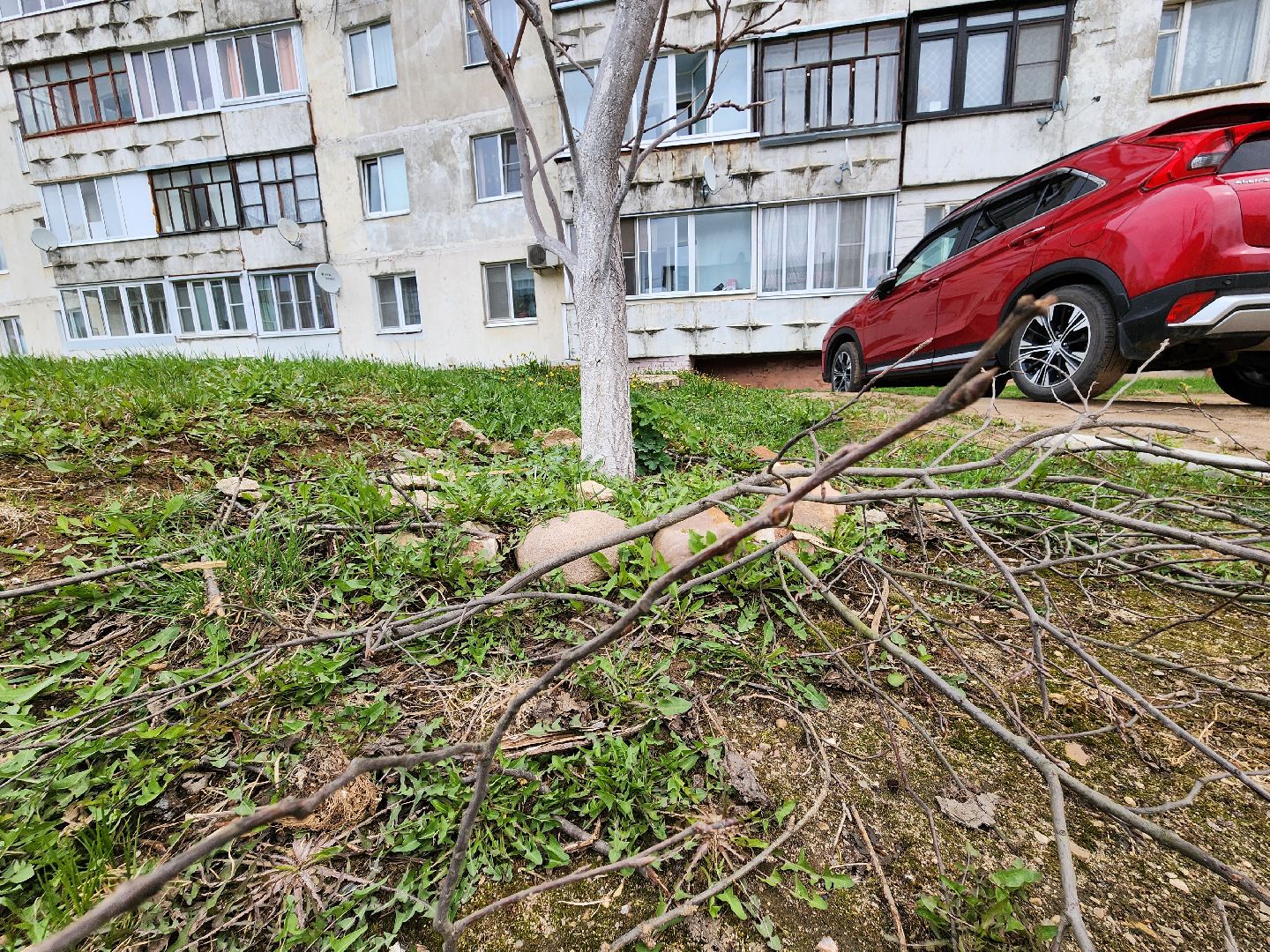 голосование, голосование 2024, голосование за благоустройство, тучково, сквер, руза, рузский городской округ,